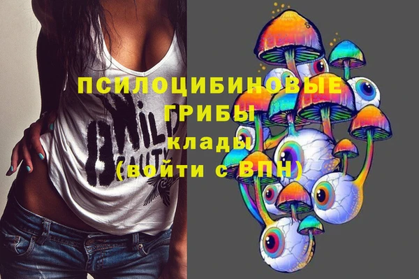 марки lsd Абаза