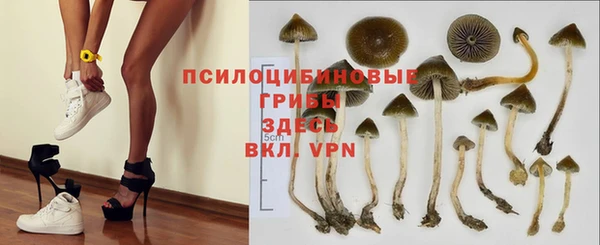 не бодяженный Осинники