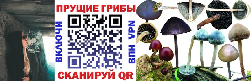 Псилоцибиновые грибы мицелий  Сольцы 