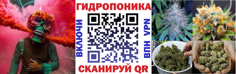 где можно купить Сольцы Бошки Шишки сатива